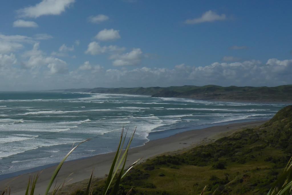 Ocean View Raglan Bed & Breakfast Exteriör bild